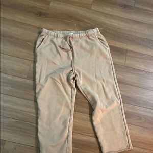 Aerie Women's Tan Joggers